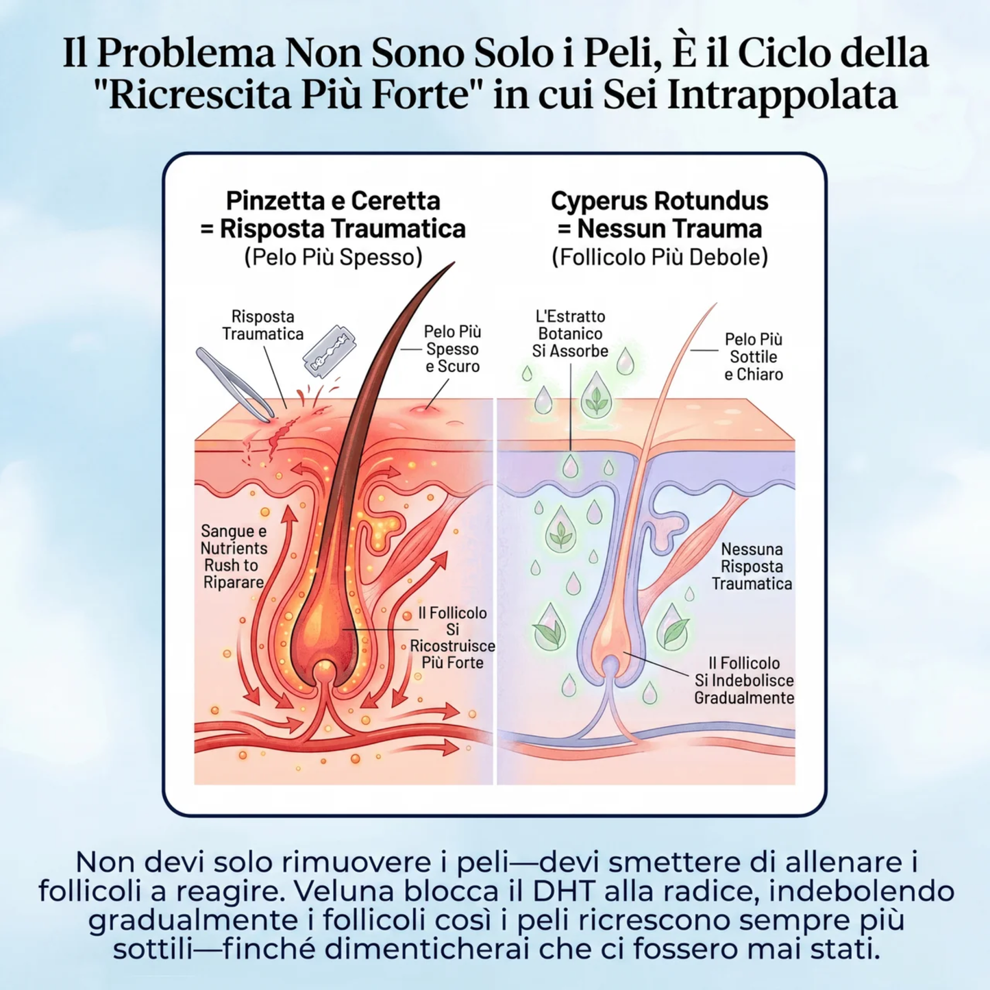 Veluna™ Siero alla Cyperus Rotundus | Ferma naturalmente la crescita dei peli indesiderati